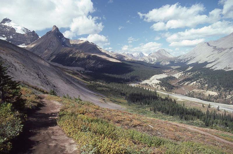 C Rockies 036 Sep-1981.jpg